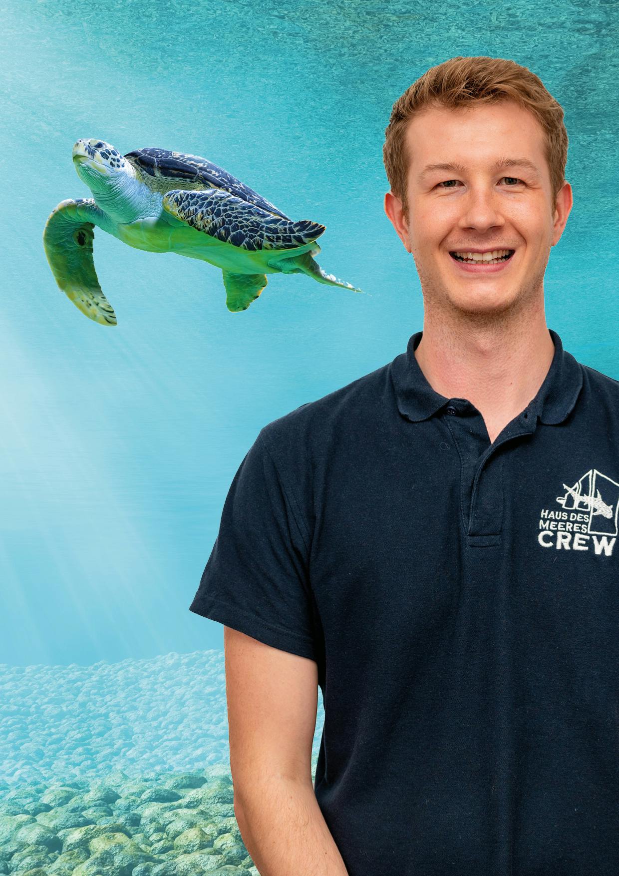 Jeff Schreiner with a sea turtle in the background