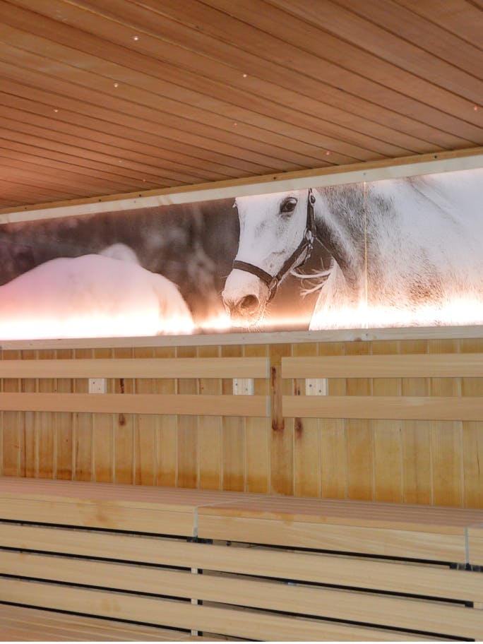 Die Wände der Lippizzaner-Sauna sind mit Pferdebildern geschmückt.