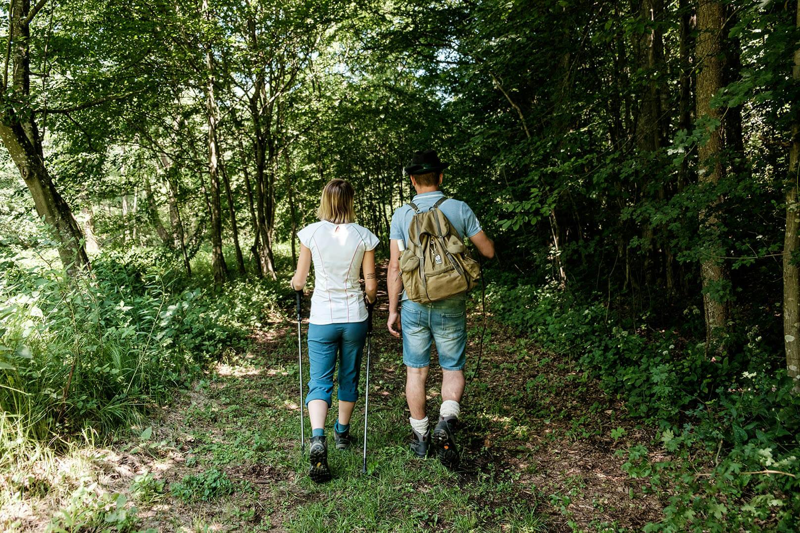 Ein Paar wandert durch den Wald.
